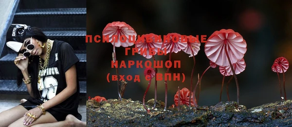 стафф Козельск